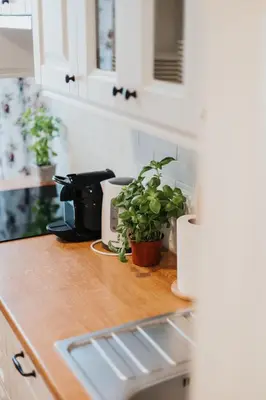 a kitchen counter with a coffee maker and a plant at Sight Main Square & Main Train Station & Planty in Kraków