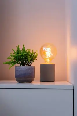 a light bulb and a potted plant on a shelf at Kiełkowskiego Modern & Comfy Apartment with Balcony Cracow by Noclegi Renters in Kraków