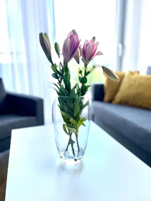 a vase filled with flowers sitting on a table at Sonja in Zator