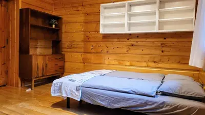 a bed in a room with a wooden wall at Domek Abi in Rabka-Zdroj
