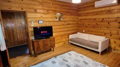 a living room with a couch and a tv in a cabin at Domek Abi in Rabka-Zdroj