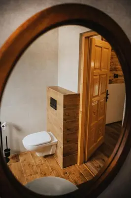 a bathroom with a toilet and a mirror at Dom Pod Wierzbami in Sidzina