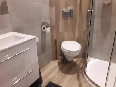 a bathroom with a toilet and a sink and a shower at Old Town Apartments - B19 in Kraków