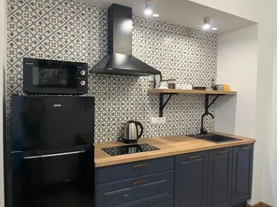 a kitchen with a black refrigerator and a sink at Wawel Crown Apartments in Kraków