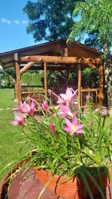 a pot of pink flowers in front of a gazebo at Domek u Gosi in Zator