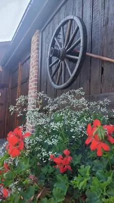a garden with red flowers in front of a wooden fence at Domek u Gosi in Zator