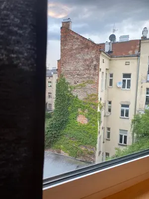 a window view of a building with ivy on it at Art Inn Space in Kraków