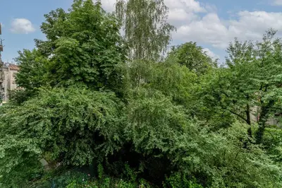 a large tree with green leaves in a park at Old Town Standard Studio by BookingHost in Kraków