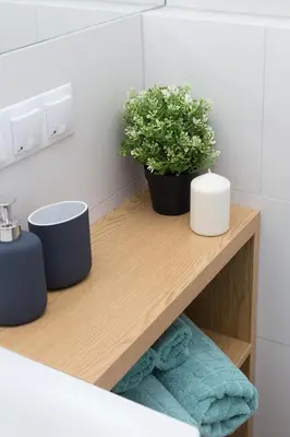 a bathroom counter with two plants on a wooden shelf at Cozy 1-bedroom apartment, Heart of Cracow in Kraków