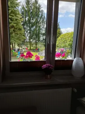 a window with flowers in a vase on a window sill at Świerkowe zacisze 13km energylandia in Wożniki