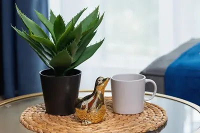 a table with two coffee cups and a potted plant at Klimatyzowany Apartament w Centrum Krakowa z Parkingiem i Biurkiem by Renters Prestige in Kraków