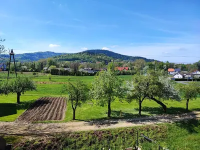 a field with trees and a field with mountains in the background at Apartamenty pod groniem in Sułkowice