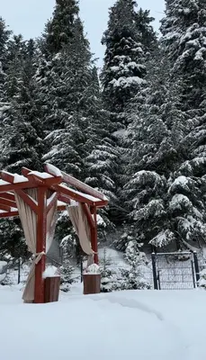 a wooden bench in the snow in front of trees at Leśna Przystań Gorce in Nowy Targ