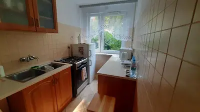 a small kitchen with a stove and a sink at Apartament Sofia in Kraków
