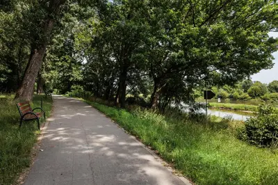 a bench on a path next to a river with trees at City of the Kings - Riverside B22 in Kraków