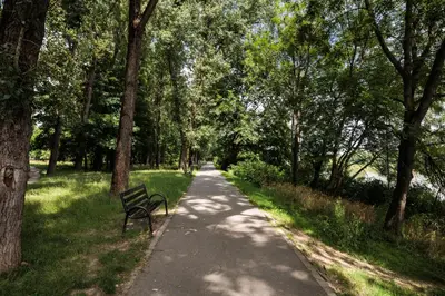 a bench on a path in a park with trees at City of the Kings - Riverside B22 in Kraków