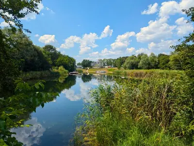 a river with trees and clouds in the sky at Bagry Lake Apartment in Kraków