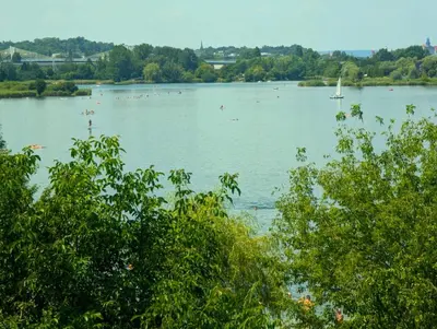 a lake with a bunch of boats in the water at Bagry Lake Apartment in Kraków