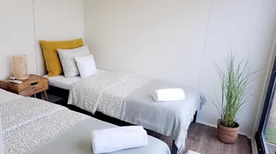 a room with two beds with pillows and a plant at Domki w Zatorze in Zator