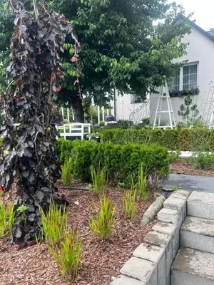a garden in front of a house with a tree at Dziupla in Wygiełzów