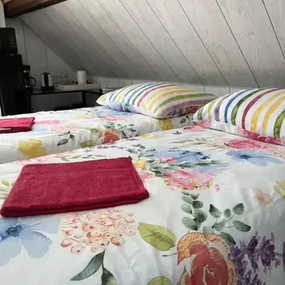 Dziupla