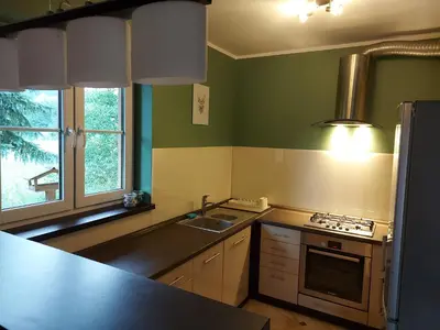 a kitchen with green walls and a sink and a stove at WhyDeer in Wola Radziszowska