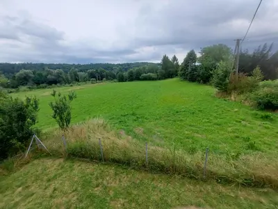 an open field with a fence in the grass at WhyDeer in Wola Radziszowska