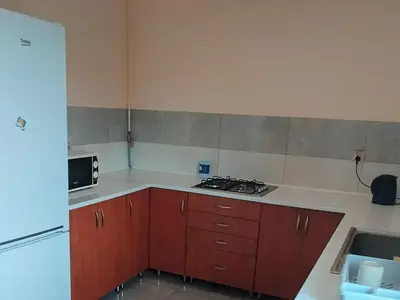 a small kitchen with a stove and a microwave at Karpiówka noclegi in Osiek