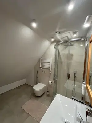 a bathroom with a toilet and a shower and a sink at Grelówka Apartament in PyzÃ³wka