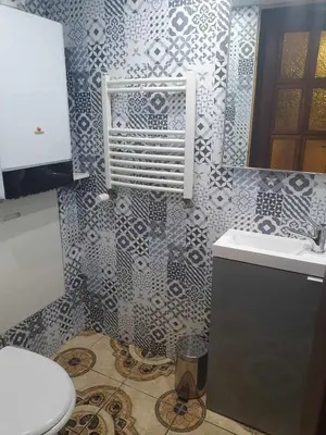 a bathroom with a sink and a toilet at Dom na wsi w okolicy ENERGYLANDIA ZATOR in Łączany