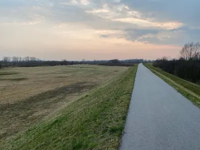 a path in the middle of a field at Noclegi Przy Starej Stodole in Jankowice