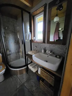 a bathroom with a sink and a shower and a toilet at Domek drewniany z sauną in Bieńkówka