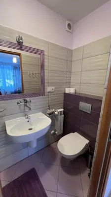 a bathroom with a sink and a toilet at Noclegi u Basi in Klikuszowa