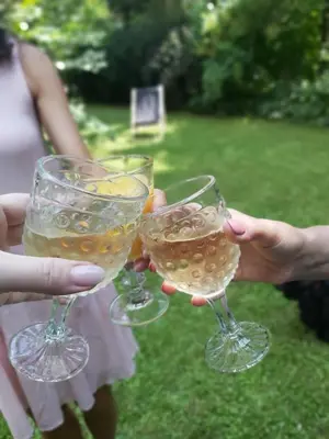 a group of people holding up wine glasses at Staruszka Chata in Sidzina