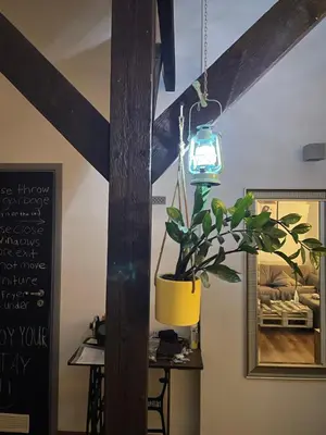 a potted plant hanging from a wooden pole with a light at Piekny,duzy loft 80 metrow blisko centrum in Kraków