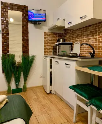 a kitchen with a sink and a counter top at Green Apartment Krakow in Kraków