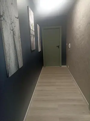 a hallway with a green door and paintings on the walls at Apartament Białoprądnicki Siewna in Kraków