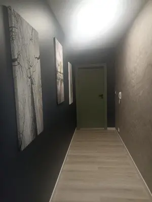 a hallway with paintings on the walls and a door at Apartament Białoprądnicki Siewna in Kraków