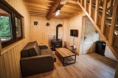 a living room with a couch and a stove at Chata Zawrot in Wytrzyszczka