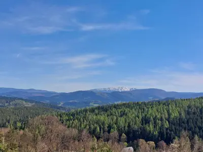 a view of a forest with a mountain in the distance at Ważka - apartament 6 osobowy in Krzeszów