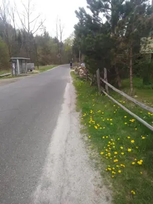 a road with a fence and flowers on the side at Agroturystyka Boguska in Zawoja