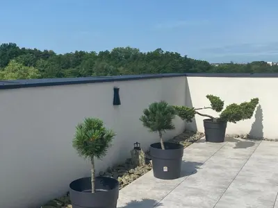 three potted trees in pots on a wall at Apartamenty FIGARETTI in Kraków