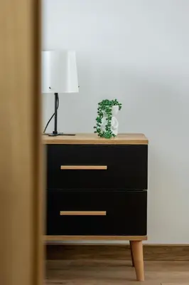 a dresser with a lamp and a plant on it at Nowoczesny Apartament w Krakowie z Klimatyzacją i Parkingiem by Noclegi Renters in Kraków