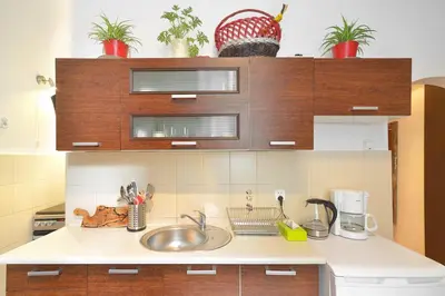 a kitchen counter with a sink and some plants at City Fever Apartment Kazimierz, WiFi in Kraków