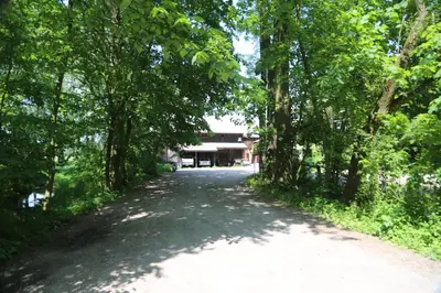 a road in the middle of a park with trees at Gospodarstwo Agroturystyczne Stary Młyn Wilczkowice in Michałowice