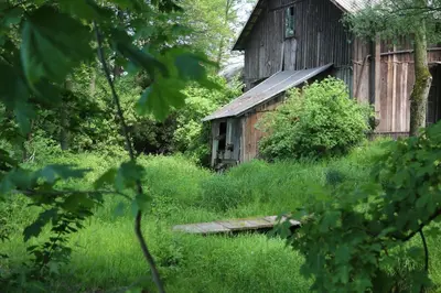 an old barn in the middle of a field of grass at Gospodarstwo Agroturystyczne Stary Młyn Wilczkowice in Michałowice