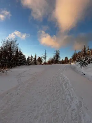 a snow covered road with footprints in the snow at Black Deer - z Sauną na Tarasie, Jacuzzi i Widokiem na Góry - by Deer Hills Luxury Apartments in Kocoń