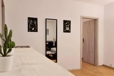 a room with a mirror and a table with a plant at Przestronny pokój w mieszkaniu na Filipa in Kraków