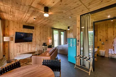 a room with wooden walls and a bed and a couch at Brown Deer - z Sauną na Tarasie, Jacuzzi i Widokiem na Góry - by Deer Hills Luxury Apartments in Kocoń