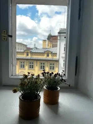 two potted plants on a window sill with a view at Apartament - Old Town in Kraków